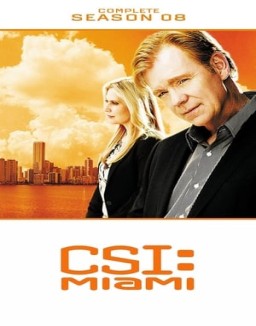 CSI: Miami saison 8